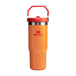 Stanley IceFlow™ Flip Straw Tumbler 30 oz - Scratch & Dents