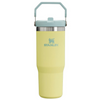 Stanley IceFlow™ Flip Straw Tumbler 30 oz - Scratch & Dents