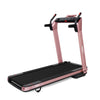 pink treadmill 